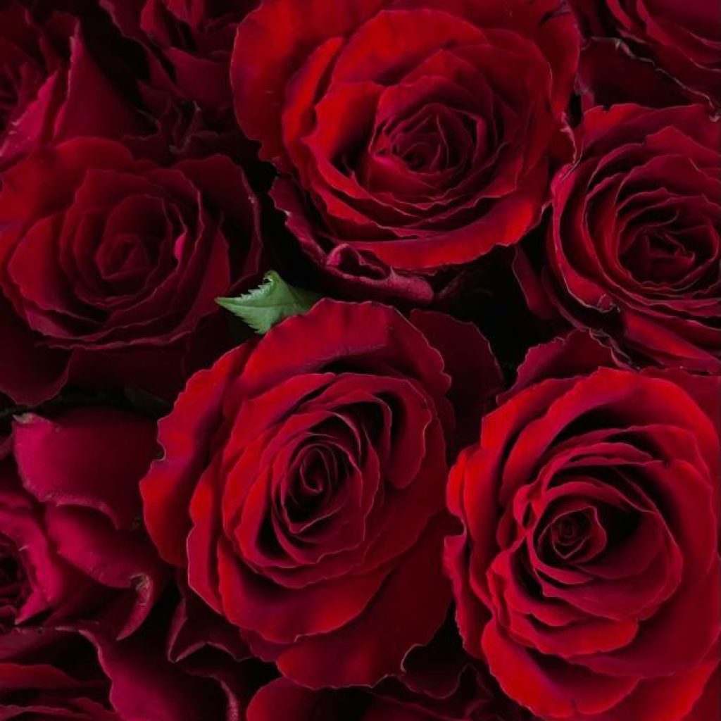 photo_2025-11-15_07-15-23 (2)